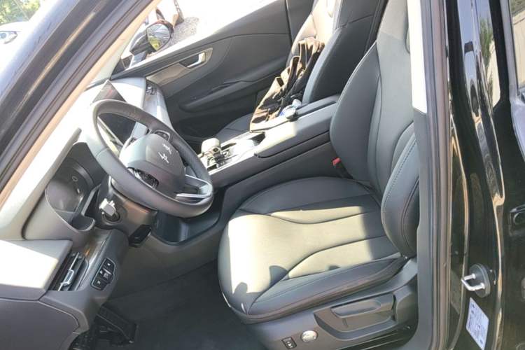 Used Hongqi E-QM5 2023 Revised Version Basic Travel Edition Left Front Seat