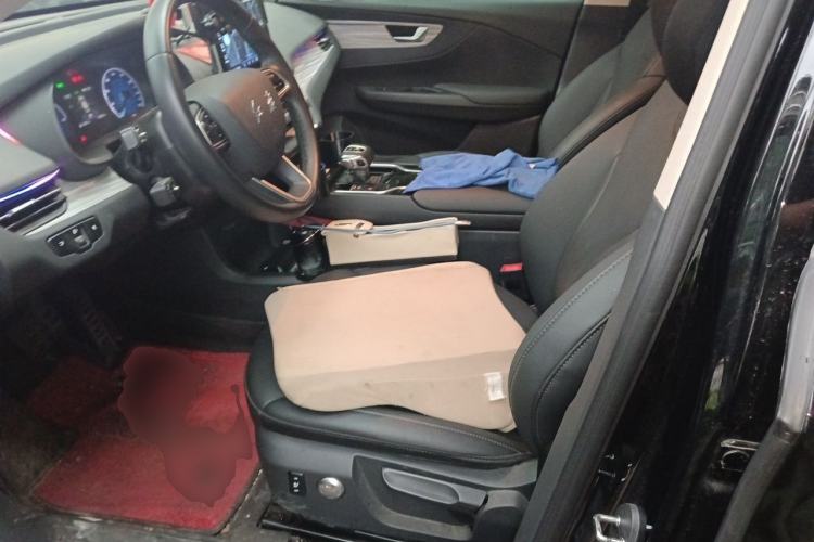 Used Hongqi E-QM5 2023 620km PLUS Left Front Seat