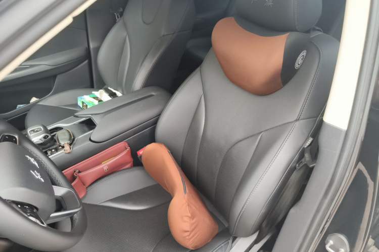 Used Hongqi E-QM5 2023 620km PLUS Left Front Seat