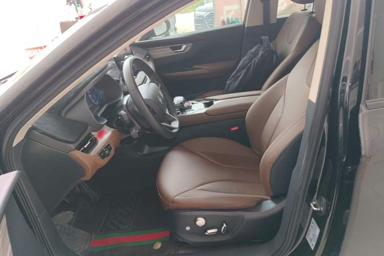 Used Hongqi E-QM5 2023 620km PLUS Left Front Seat