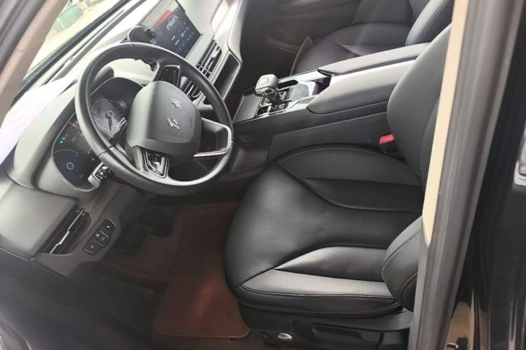 Used Hongqi E-QM5 2023 Revised Version Basic Travel Edition Left Front Seat