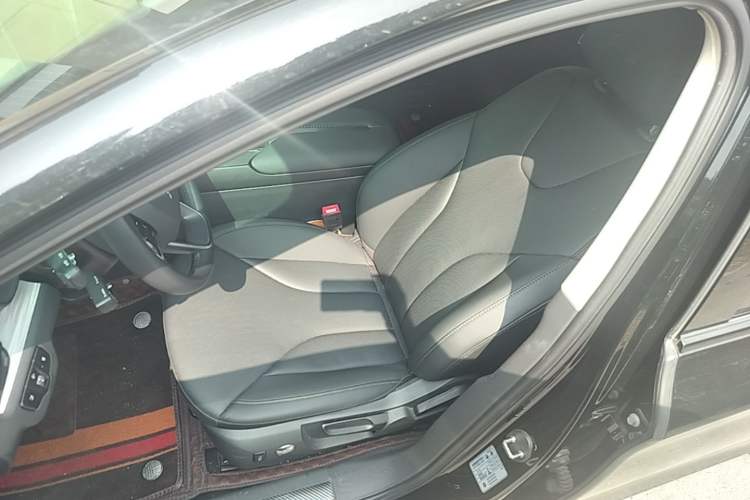 Used Hongqi E-QM5 2023 620km PLUS Left Front Seat