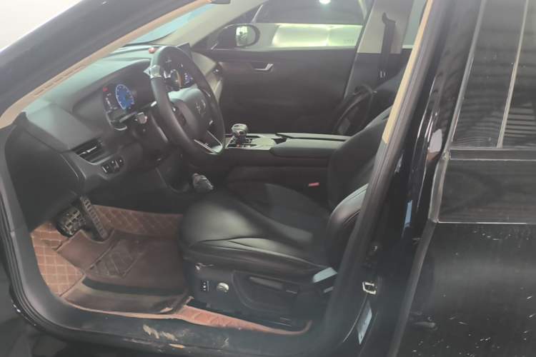 Used Hongqi E-QM5 2023 Revised Version Basic Travel Edition Left Front Seat