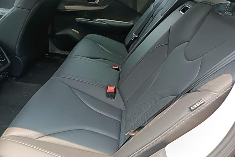 Used Hongqi E-QM5 2023 Base Travel Edition Left Rear Seat