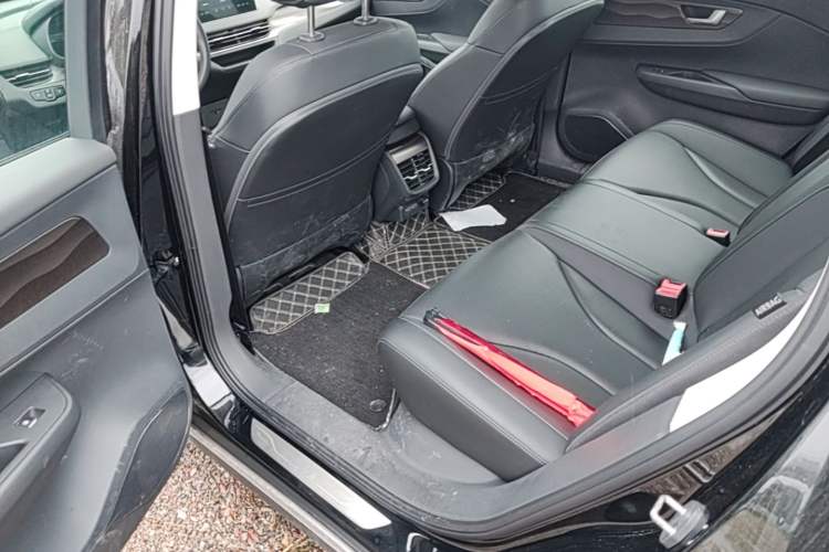 Used Hongqi E-QM5 2023 Revised Version Basic Travel Edition Left Rear Seat