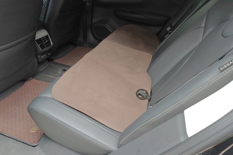 Used Hongqi E-QM5 2023 620km PLUS Left Rear Seat