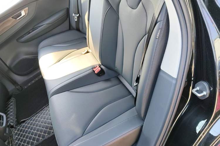 Used Hongqi E-QM5 2023 Revised Version Basic Travel Edition Left Rear Seat