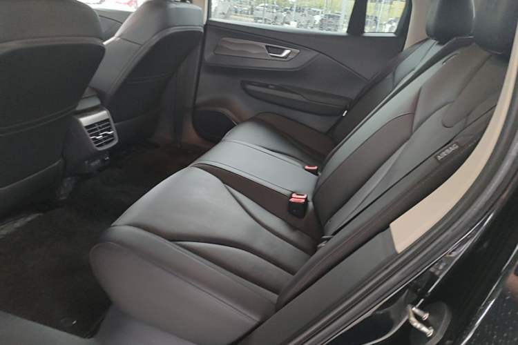 Used Hongqi E-QM5 2023 Revised Version Basic Travel Edition Left Rear Seat