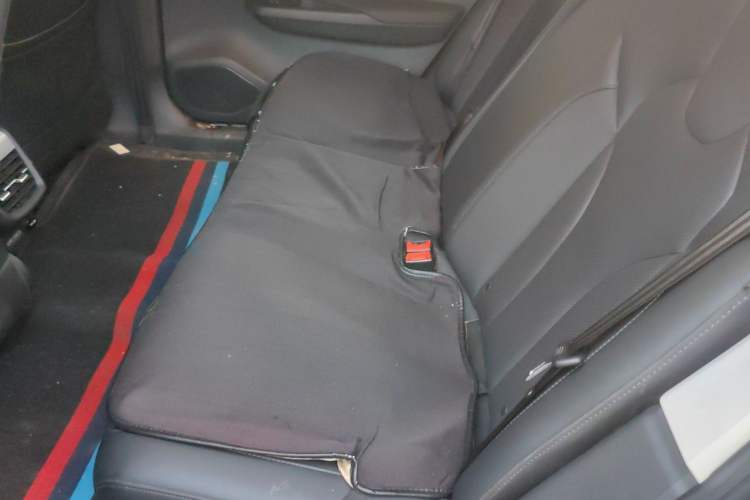 Used Hongqi E-QM5 2023 620km PLUS Left Rear Seat