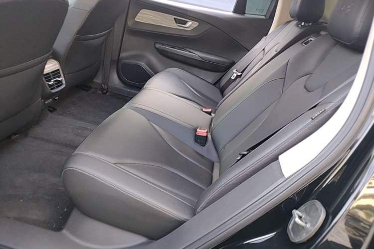 Used Hongqi E-QM5 2023 620km PLUS Left Rear Seat