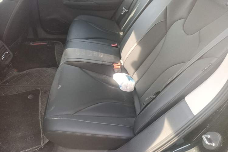 Used Hongqi E-QM5 2023 Base Travel Edition Left Rear Seat