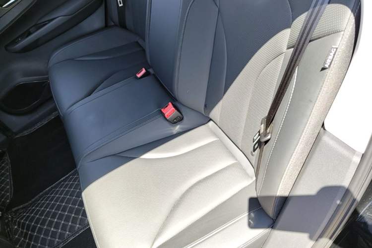 Used Hongqi E-QM5 2023 Revised Version Basic Travel Edition Left Rear Seat