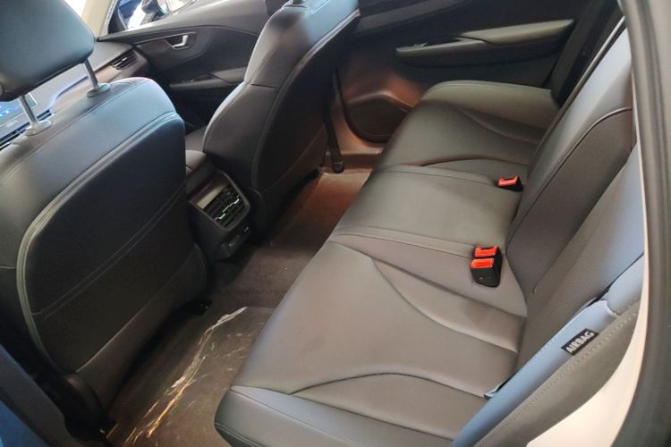 Used Hongqi E-QM5 2023 Revised Version Basic Travel Edition Left Rear Seat