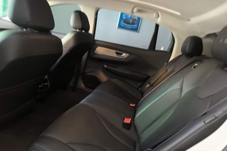 Used Hongqi E-QM5 2023 620km PLUS Left Rear Seat