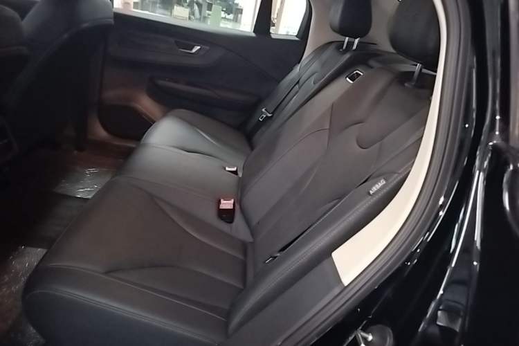 Used Hongqi E-QM5 2023 Revised Version Basic Travel Edition Left Rear Seat