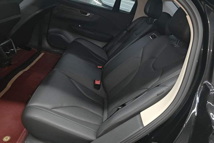 Used Hongqi E-QM5 2023 Revised Version Basic Travel Edition Left Rear Seat