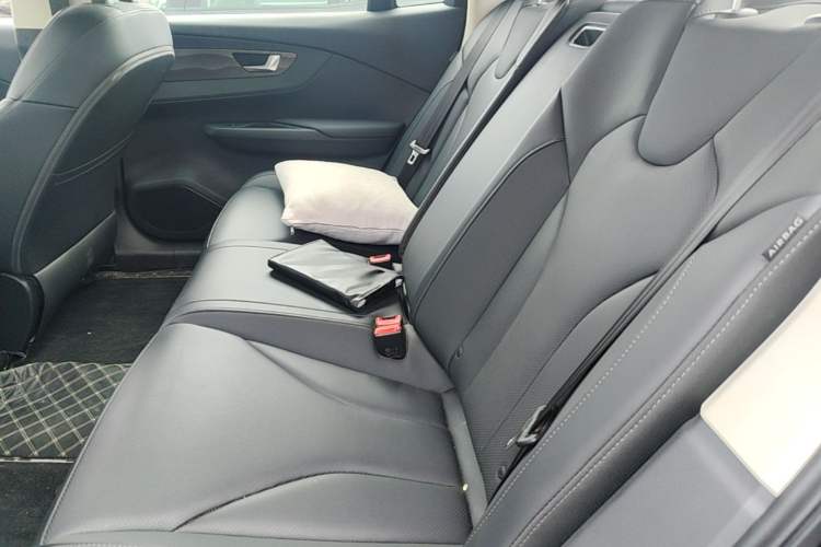 Used Hongqi E-QM5 2023 Revised Version Basic Travel Edition Left Rear Seat