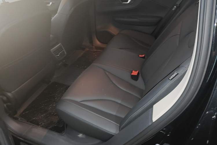 Used Hongqi E-QM5 2023 Base Travel Edition Left Rear Seat