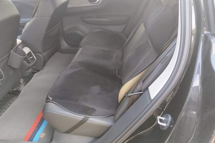 Used Hongqi E-QM5 2023 620km PLUS Left Rear Seat
