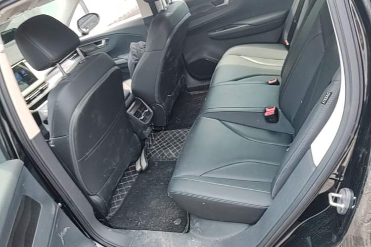 Used Hongqi E-QM5 2023 Base Travel Edition Left Rear Seat