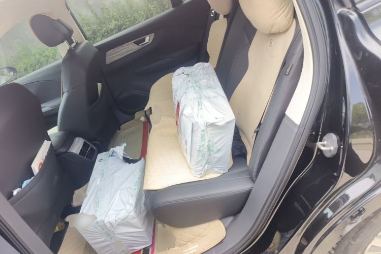 Used Hongqi E-QM5 2023 620km PLUS Left Rear Seat