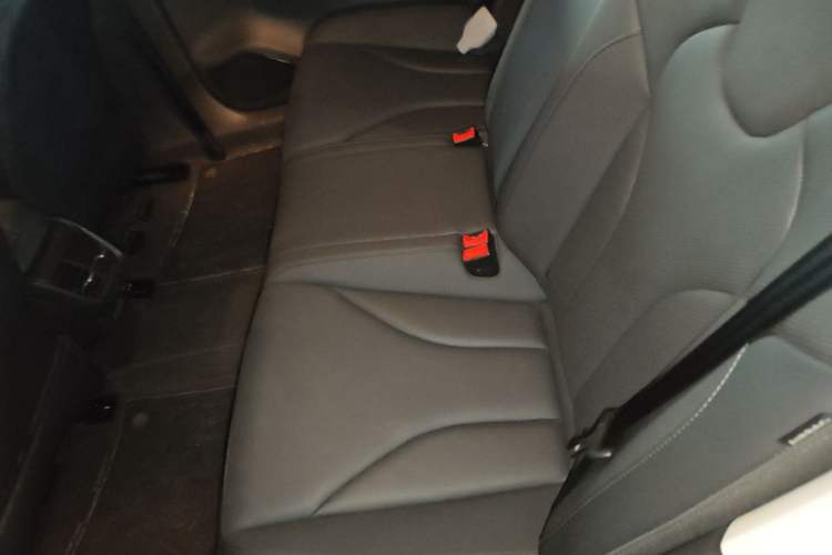 Used Hongqi E-QM5 2023 Revised Version Basic Travel Edition Left Rear Seat
