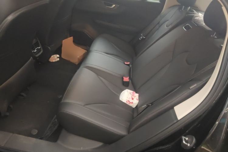 Used Hongqi E-QM5 2023 Revised Version Basic Travel Edition Left Rear Seat