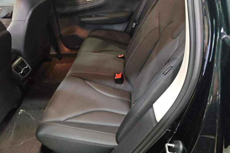 Used Hongqi E-QM5 2023 Revised Version Basic Travel Edition Left Rear Seat