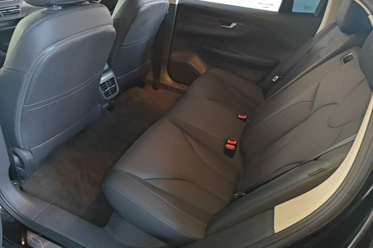 Used Hongqi E-QM5 2023 Revised Version Basic Travel Edition Left Rear Seat