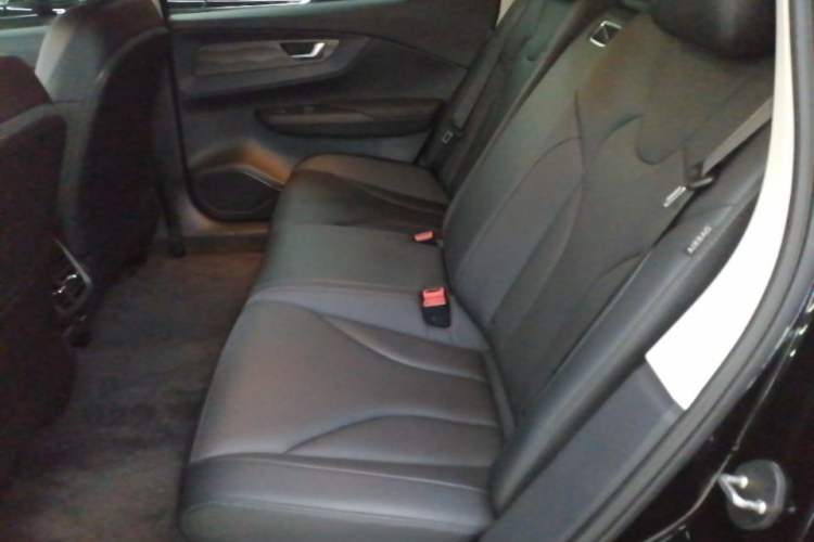 Used Hongqi E-QM5 2023 Revised Version Basic Travel Edition Left Rear Seat