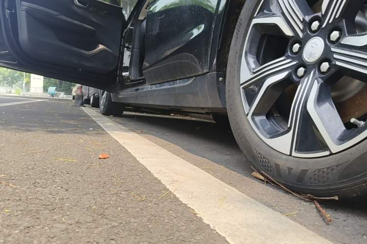 Used Hongqi E-QM5 2023 Base Travel Edition Left Side Sill