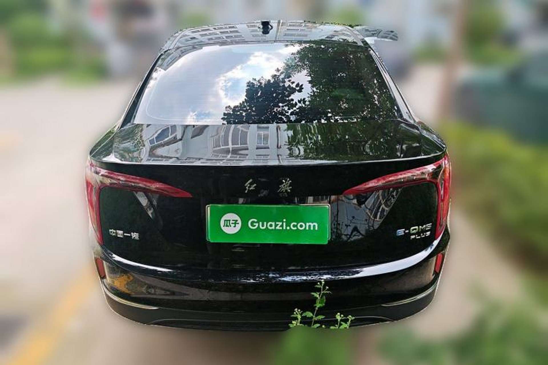 Used Hongqi E-QM5 2023 620km PLUS Rear
