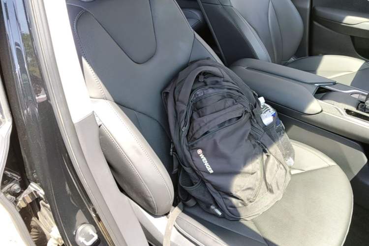 Used Hongqi E-QM5 2023 Revised Version Basic Travel Edition Right Front Seat