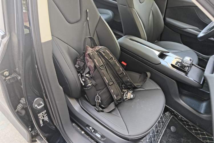 Used Hongqi E-QM5 2023 Revised Version Basic Travel Edition Right Front Seat
