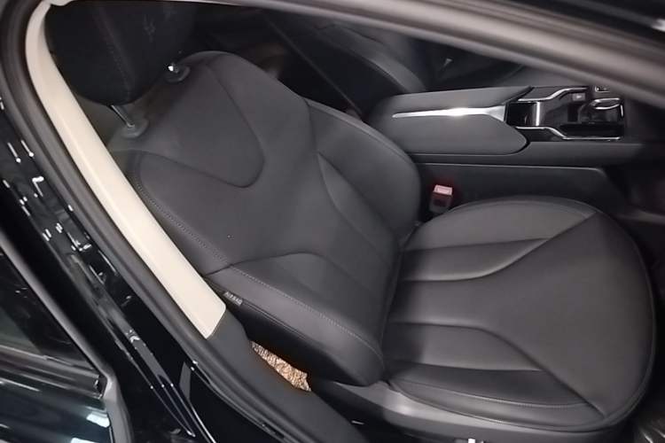 Used Hongqi E-QM5 2023 Revised Version Basic Travel Edition Right Front Seat