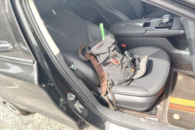 Used Hongqi E-QM5 2023 Revised Version Basic Travel Edition Right Front Seat