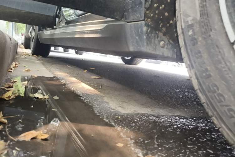 Used Hongqi E-QM5 2023 Base Travel Edition Right Side Sill