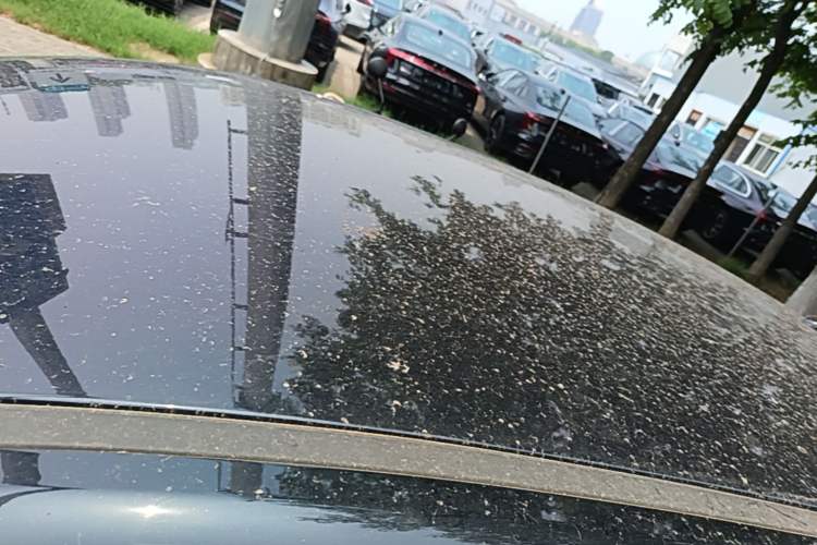 Used Hongqi E-QM5 2023 Base Travel Edition Roof