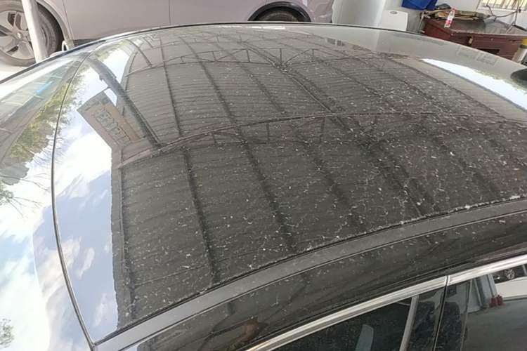Used Hongqi E-QM5 2023 620km PLUS Roof