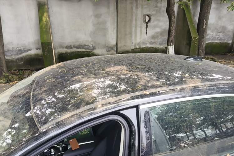 Used Hongqi E-QM5 2023 Base Travel Edition Roof