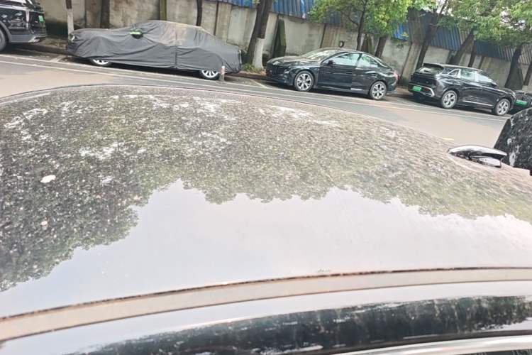 Used Hongqi E-QM5 2023 Base Travel Edition Roof