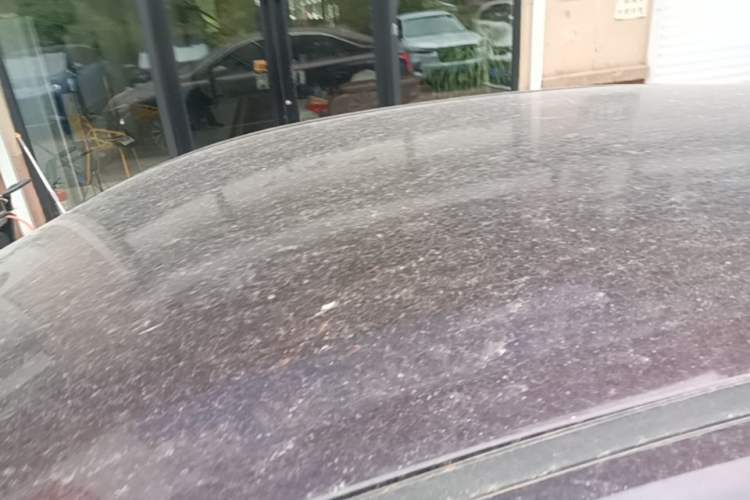 Used Hongqi E-QM5 2023 620km PLUS Roof