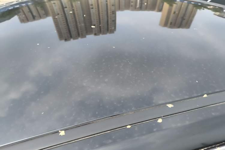 Used Hongqi E-QM5 2023 Revised Version Basic Travel Edition Roof