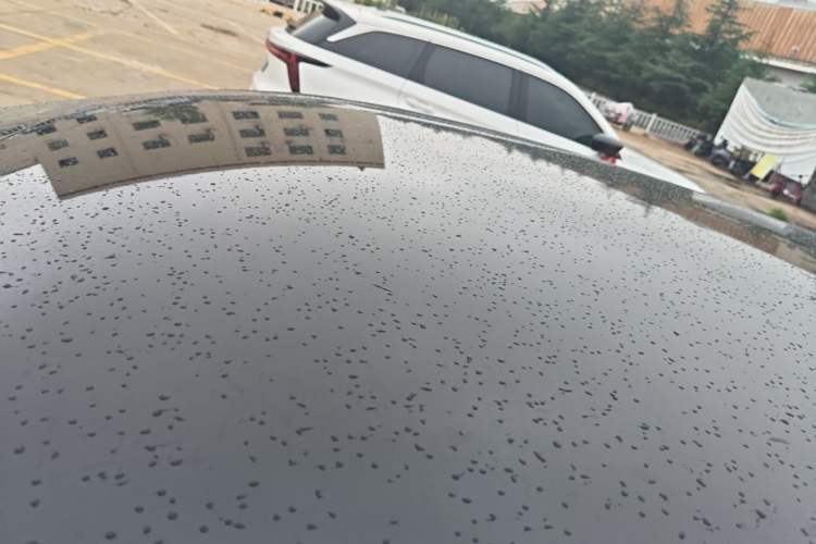 Used Hongqi E-QM5 2023 Revised Version Basic Travel Edition Roof