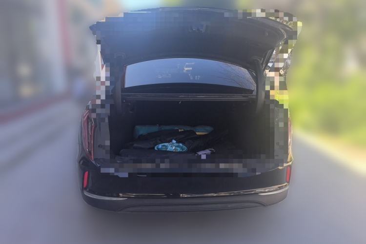 Used Hongqi E-QM5 2023 620km PLUS Trunk