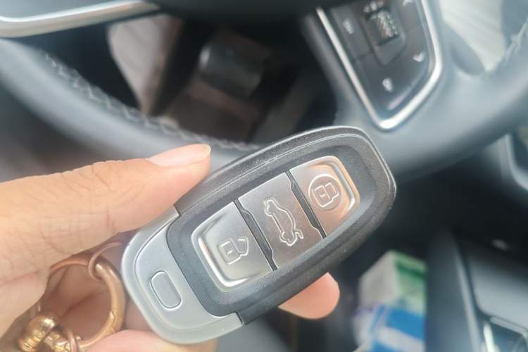 Used Hongqi E-QM5 2023 620km PLUS Vehicle Key