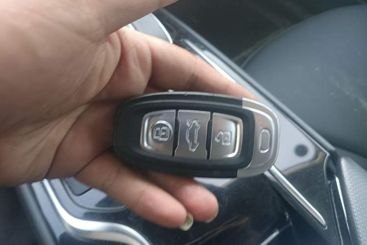 Used Hongqi E-QM5 2023 Base Travel Edition Vehicle Key