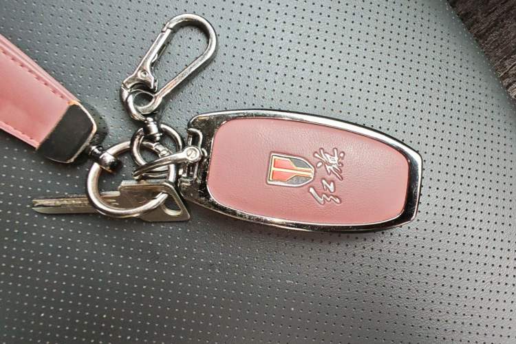 Used Hongqi E-QM5 2023 Revised Version Basic Travel Edition Vehicle Key