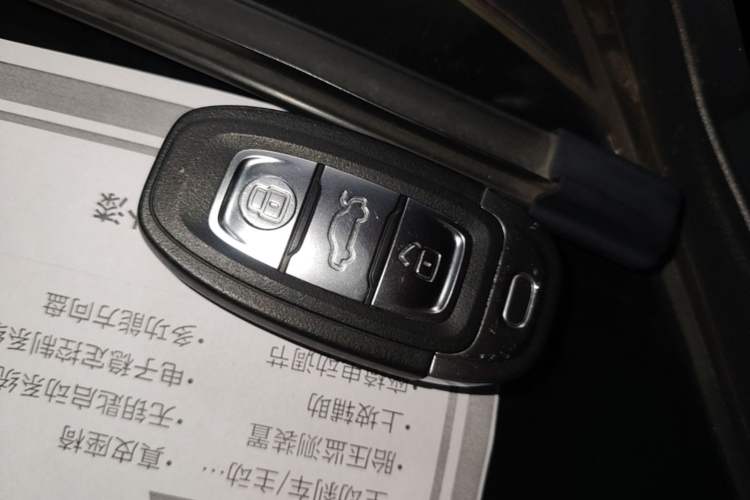 Used Hongqi E-QM5 2023 Base Travel Edition Vehicle Key