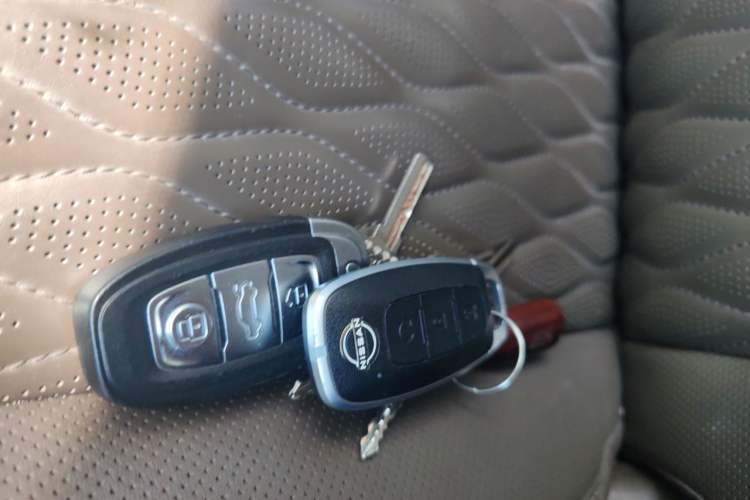 Used Hongqi E-QM5 2023 560km PLUS Vehicle Key